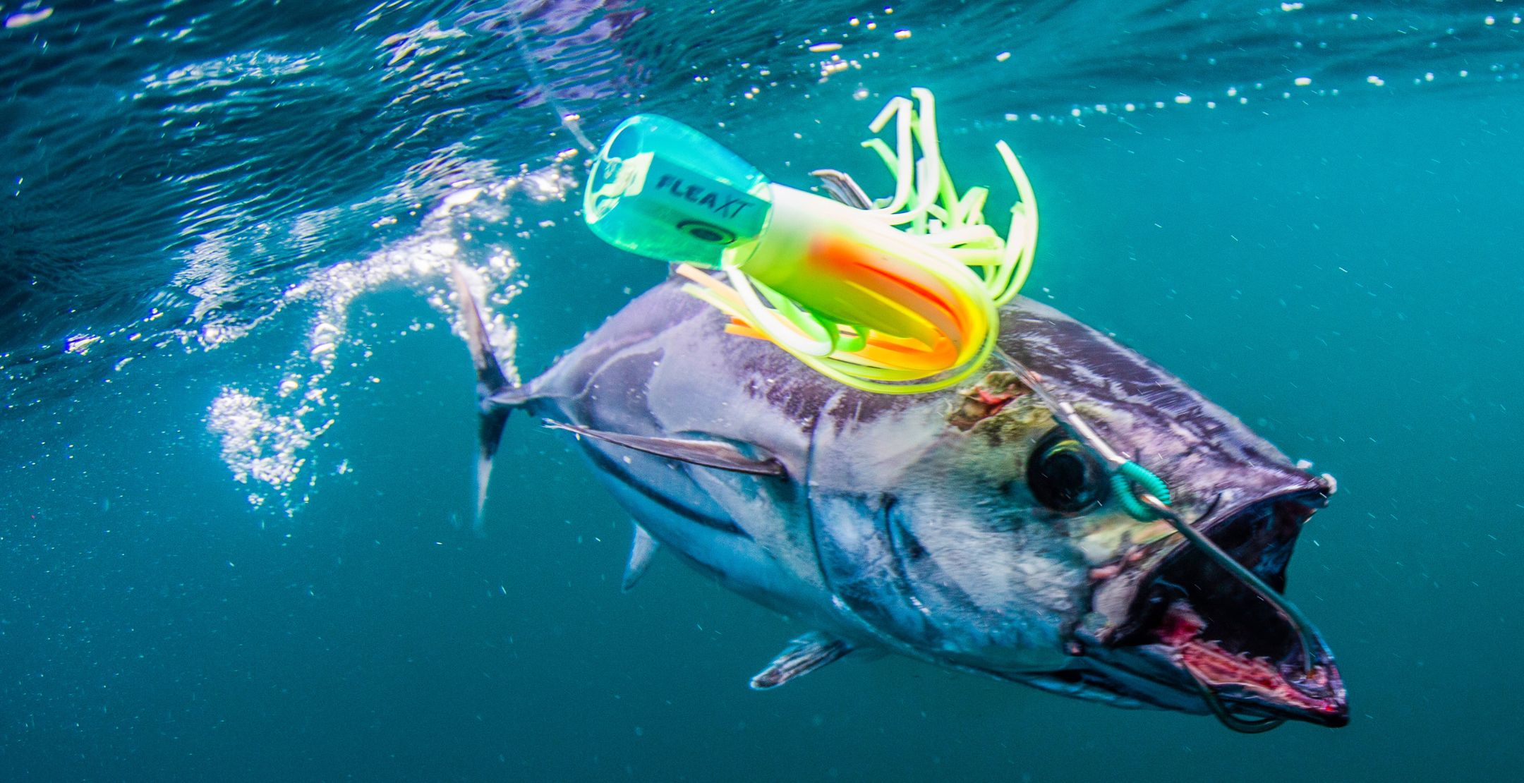 Game Fishing Gimbals and Harnesses